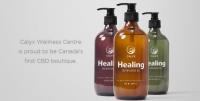 Pure Organic Hemp CBD Oil - Calyx Wellness image 1